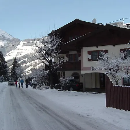 Fuchs * Brixen im Thale