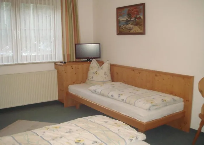 Fuchs * Brixen im Thale