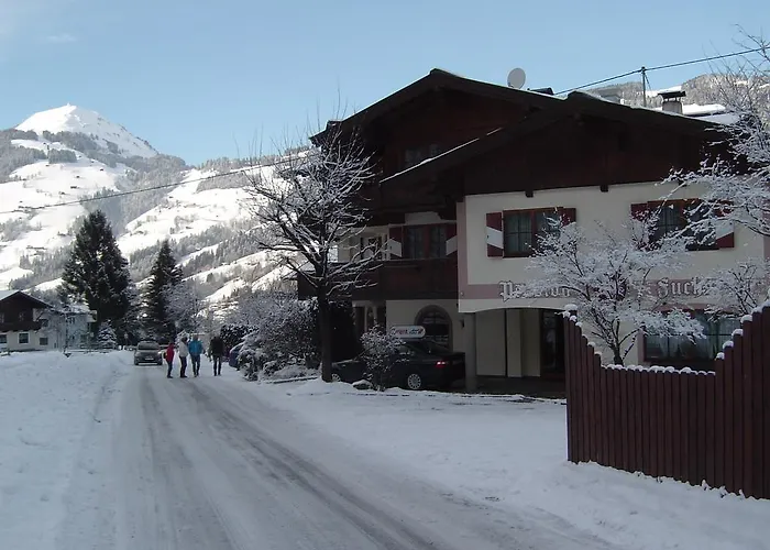 Fuchs * Brixen im Thale