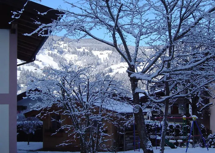 福克斯膳食酒店 *